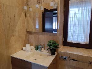 A bathroom at Apartamentos Palacio de los Jerónimos