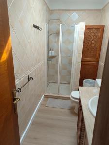 a bathroom with a shower and a toilet at Casa Valentina in Tías