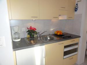 uma cozinha com um lavatório e uma bancada em Apartment Beck em Wilderswil