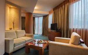 TV a/nebo společenská místnost v ubytování Hotel Arka