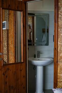 Skela e Pirgut في ديفيجاكه: حمام مزود بحوض ومِرآة