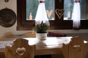 a table with a potted plant on top of it at Residence Fontanazzo in Campitello +65 photos
