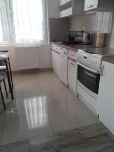 Dapur atau dapur kecil di Całoroczny Apartament u Grzegorza