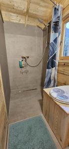 a small bathroom with a shower and a sink at Au Verger des Louves in Helfrantzkirch