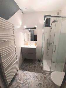 a bathroom with a shower and a sink and a toilet at appartement la boheme, Disney 15 min, Paris 25 min in Thorigny-sur-Marne