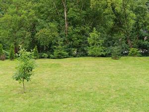 Giardino di Kuća za odmor Kekec Fruška gora