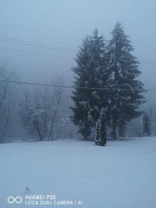 Kuća za odmor Kekec Fruška gora durante l'inverno