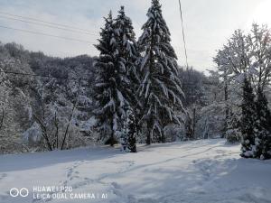Kuća za odmor Kekec Fruška gora durante l'inverno