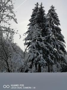 Kuća za odmor Kekec Fruška gora durante l'inverno