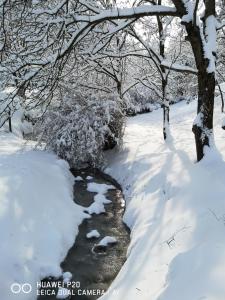 Kuća za odmor Kekec Fruška gora durante l'inverno