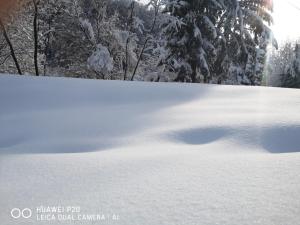 Kuća za odmor Kekec Fruška gora durante l'inverno