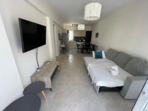 een woonkamer met een bank en een flatscreen-tv bij Mari House-close to the beach in Paphos City