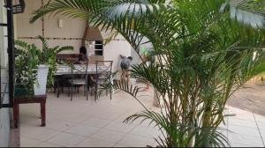 a patio with plants and a table with a bird on it at Villa sonhos in Belém