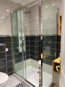 a glass shower in a bathroom with a toilet at Fouettara 2 in Firminy +15 photos