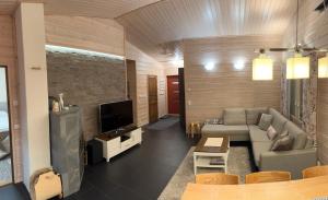 a living room with a couch and a tv at Starflower of Ylläs in Ylläsjärvi