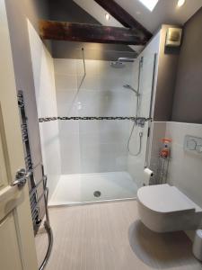 a bathroom with a shower and a white toilet at The Coach House in Cheltenham +23 photos