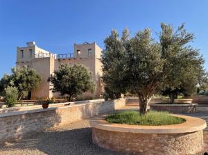 a building with a tree in front of it at Riad SABIDI in Essaouira