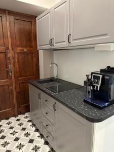 a kitchen with a sink and a counter top at Apartamenty Narutowicza 52 parking free in Lublin +57 photos