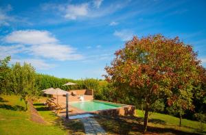 a swimming pool in a yard with a tree at Pampucet in Colcavagno