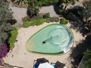 an overhead view of a swimming pool with a dolphin in it at encantadora casa ibicenca in Sant Josep de sa Talaia