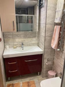 Ένα μπάνιο στο Europa Family Flat +18 φωτογραφίες