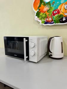 a microwave and a toaster sitting on a counter at Samal Hostel in Almaty