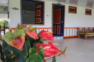 Gallery image of Finca Nuevo Monarca in Pereira