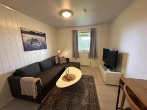 a living room with a couch and a tv at Studio apartment in the center of Alta in Alta