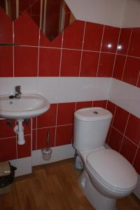 uma casa de banho com um WC e um lavatório em Apartmá Lipno em Horní Planá