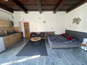 Kuchyňa alebo kuchynka v ubytovaní Vila Lucia - Apartmán 2