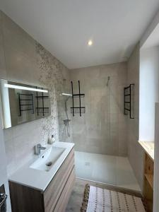 a bathroom with a sink and a shower at maison en ville à Mâcon proche gare et centre ville Karine &Flavie in Flacé-lès-Mâcon +34 photos