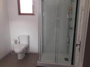 ein Badezimmer mit Toilette und Glasdusche in der Unterkunft jolie maison de ville in Limoux