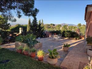 a patio with a bunch of potted plants in a yard at Villa Marovi Bonalba in Alicante