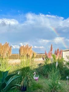 a pink duck in the grass with a rainbow in the background at Paradise Sea Terrace in Monopoli