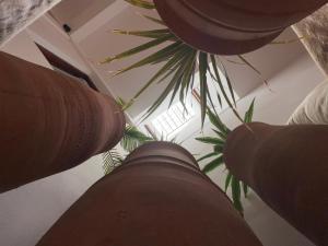 Foto Agadiris asuva majutusasutuse Eco Bay Surf House galeriist