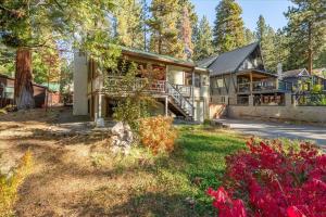 a house in the woods with a yard at New Cabin in North Lake Tahoe! in Kings Beach