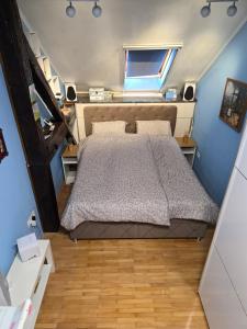 a bedroom with a bed in a small room at Earth & Sky apartment in Sajmište