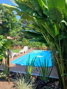 a pool with two chairs and a palm tree at Pousada Cacau e Dendê in Barra Grande