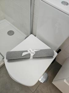 ポルトにあるRiver Blueのバスルーム(シャワー付)の白いトイレ +25枚の写真