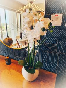 a vase filled with white flowers on a table at Country View Retreat in Żabbar