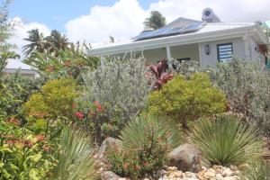 Zahrada ubytování Iguane House Villas & Micro Spa