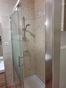a shower with a glass door in a bathroom at Monteverde in Monte Negro +37 photos