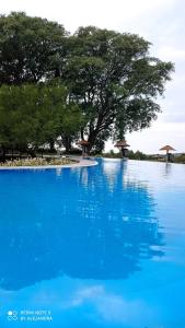una gran piscina de agua azul con árboles en el fondo en amanecer de RIO y pesca, en San Pedro