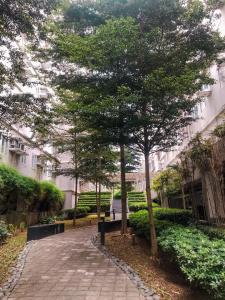 a brick walkway with trees in front of a building at Cozy Near Mall SM Fairview Trees Residences Quezon City in Manila