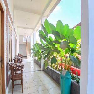 Zahrada ubytování Kenewae Living Near Alun-alun Wonosari Mitra RedDoorz