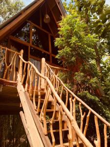 Foto dalla galleria di Angry Birds Tree house a Habarana