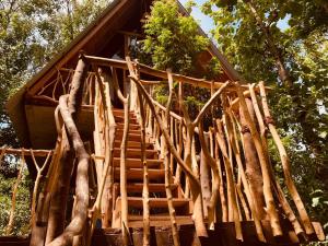 Foto dalla galleria di Angry Birds Tree house a Habarana