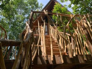 Foto dalla galleria di Angry Birds Tree house a Habarana