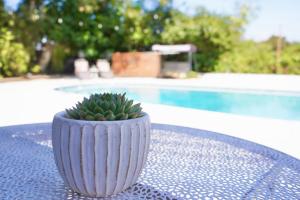 Πισίνα στο ή κοντά στο Sunny Days Tiny House with private entrance, pool and view