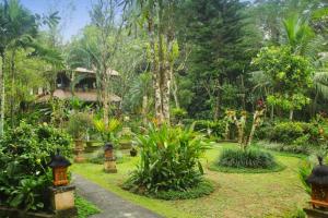 Zahrada ubytování Punita 1 BR Grand Deluxe Garden ZN237